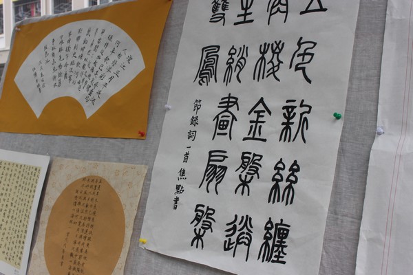 IMG_8203.JPG IMG_8203.JPG